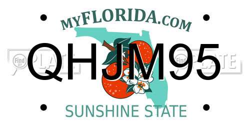 QHJM95 Florida License Plate
