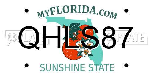 QHLS87 Florida License Plate