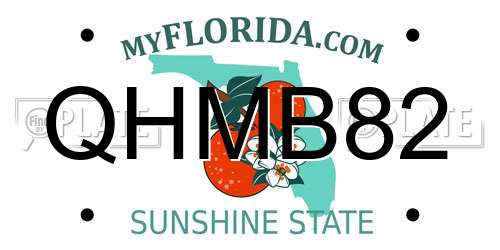 QHMB82 Florida License Plate