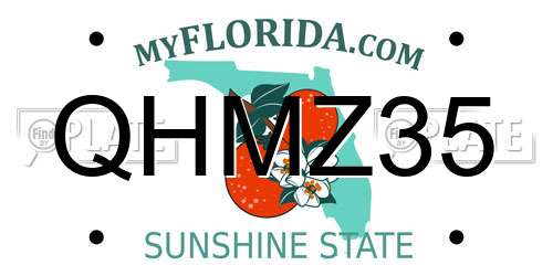QHMZ35 Florida License Plate
