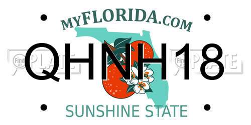 QHNH18 Florida License Plate