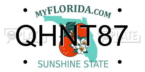 QHNT87 Florida License Plate
