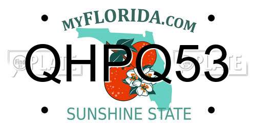 QHPQ53 Florida License Plate