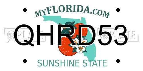 QHRD53 Florida License Plate