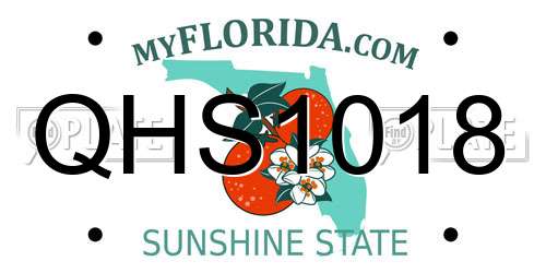 QHS1018 Florida License Plate
