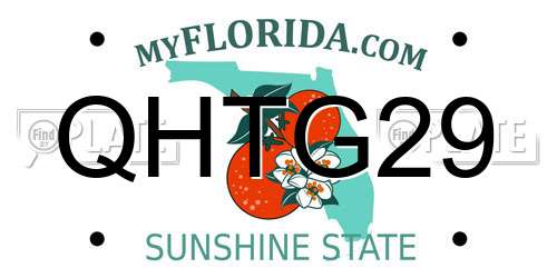 QHTG29 Florida License Plate
