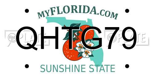 QHTG79 Florida License Plate