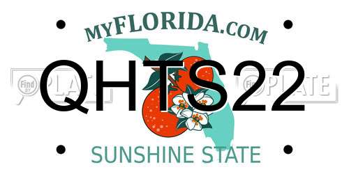 QHTS22 Florida License Plate