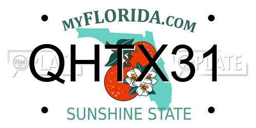QHTX31 Florida License Plate