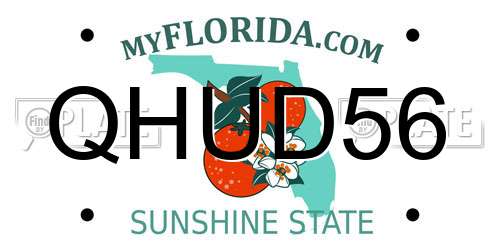 QHUD56 Florida License Plate