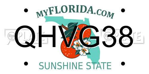 QHVG38 Florida License Plate