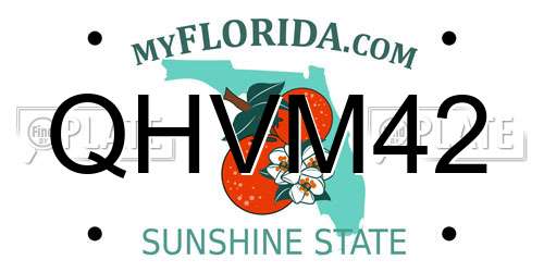 QHVM42 Florida License Plate