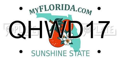 QHWD17 Florida License Plate