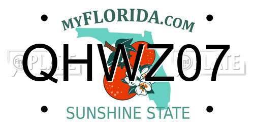 QHWZ07 Florida License Plate