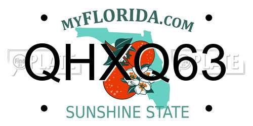 QHXQ63 Florida License Plate