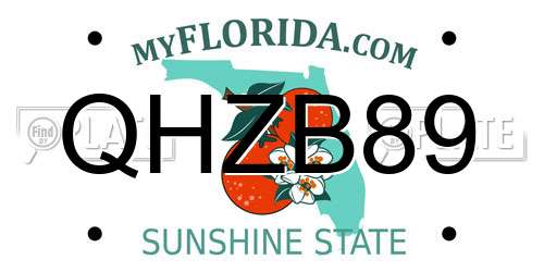 QHZB89 Florida License Plate