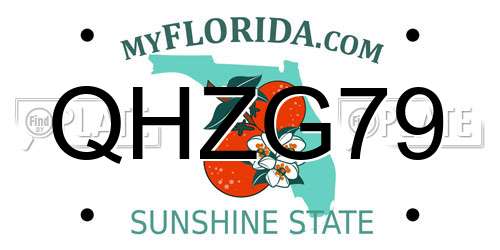 QHZG79 Florida License Plate