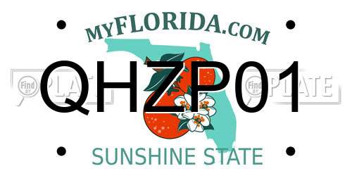 QHZP01 Florida License Plate