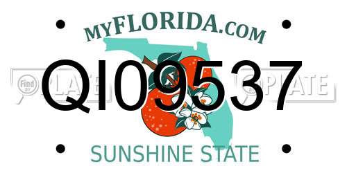 QI09537 Florida License Plate