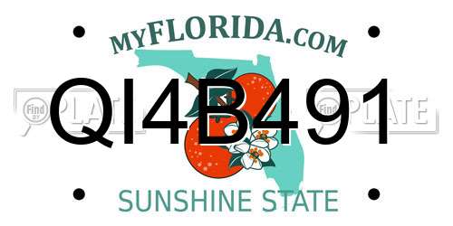 QI4B491 Florida License Plate