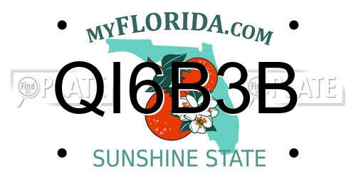 QI6B3B Florida License Plate