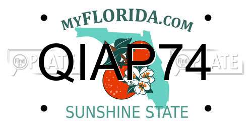 QIAP74 Florida License Plate
