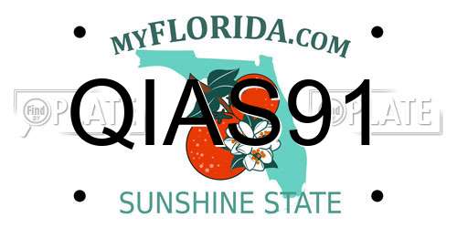 QIAS91 Florida License Plate