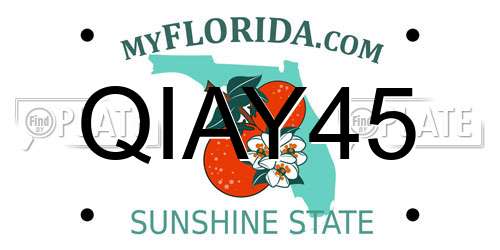 QIAY45 Florida License Plate