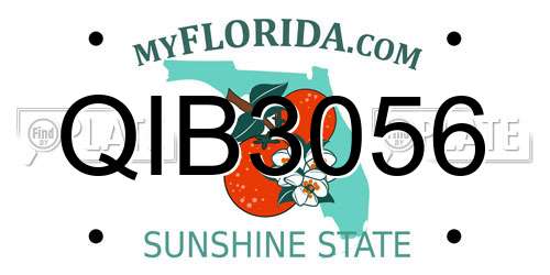 QIB3056 Florida License Plate