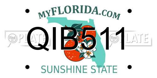 QIB511 Florida License Plate