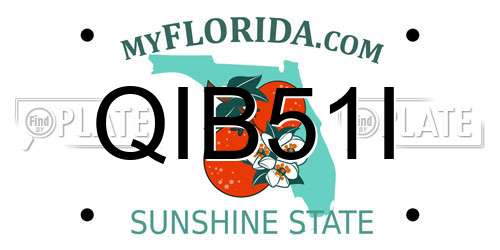 QIB51I Florida License Plate