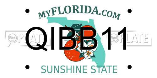 QIBB11 Florida License Plate
