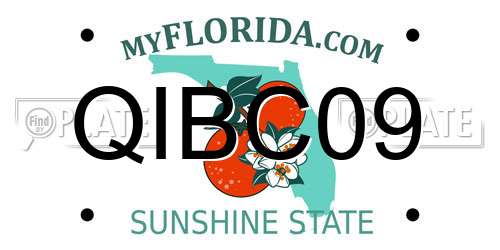 QIBC09 Florida License Plate