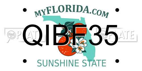QIBF35 Florida License Plate