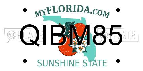 QIBM85 Florida License Plate