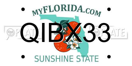 QIBX33 Florida License Plate