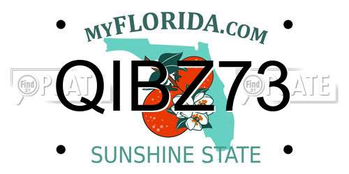 QIBZ73 Florida License Plate
