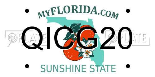QICG20 Florida License Plate