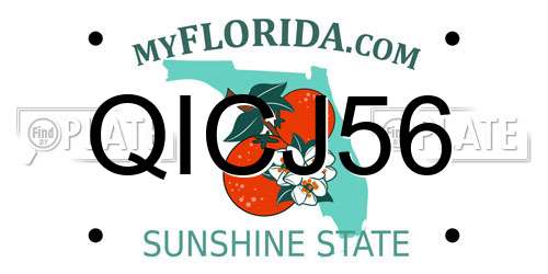QICJ56 Florida License Plate