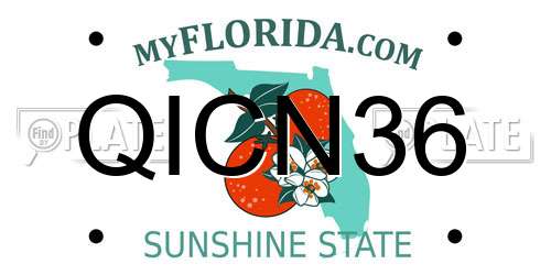 QICN36 Florida License Plate