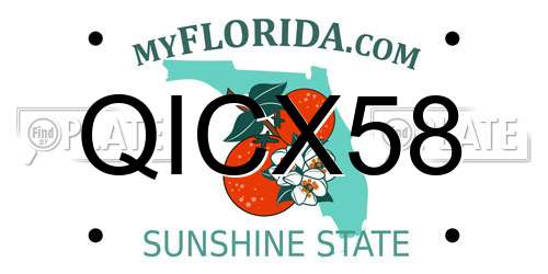 QICX58 Florida License Plate