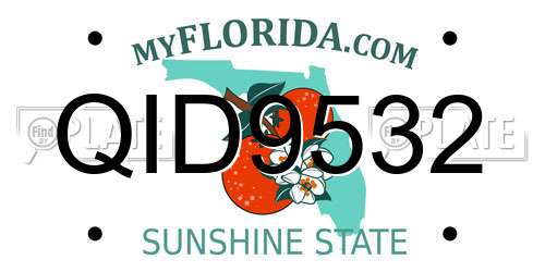 QID9532 Florida License Plate