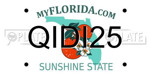 QIDI25 Florida License Plate