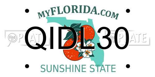 QIDL30 Florida License Plate