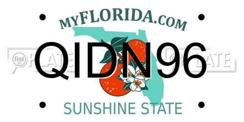 QIDN96 Florida License Plate
