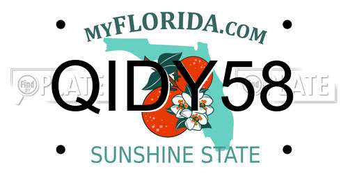 QIDY58 Florida License Plate