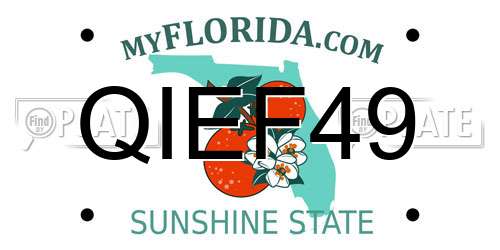 QIEF49 Florida License Plate