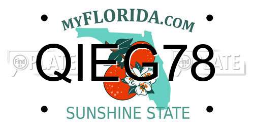 QIEG78 Florida License Plate