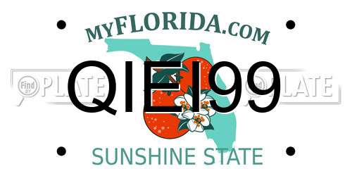 QIEI99 Florida License Plate