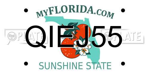 QIEJ55 Florida License Plate